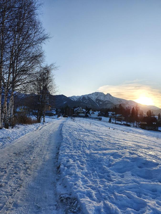 Podhalanskie Zacisze Zakopane Exteriör bild