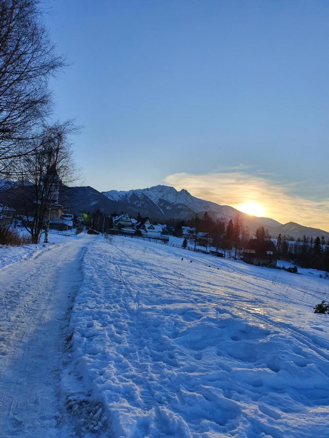 Podhalanskie Zacisze Zakopane Exteriör bild